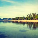 Top 5 Best Hostels in North Goa Anjuna Beach