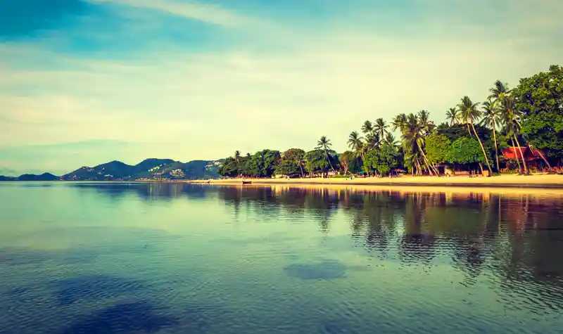 Top 5 Best Hostels in North Goa Anjuna Beach