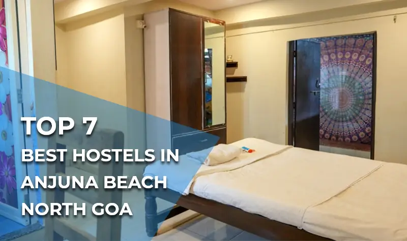Top 7 Best Hostels in Anjuna Beach North Goa