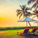 Reasons to Visit Goa in the Summer